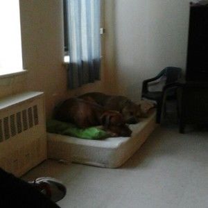 Meet your Posher, Maritza